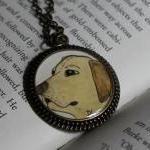 Yellow Lab Original Waterco..