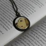 Yellow Lab Original Waterco..